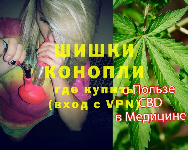 гашиш Богданович